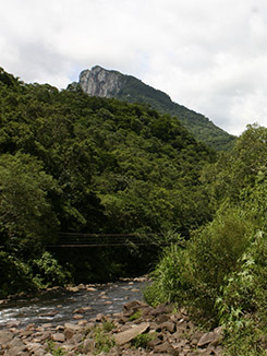 Shine a Light - Quilombos do Sul - Quilombos do Sul Capa